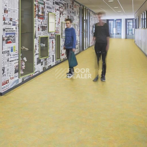Forbo Marmoleum Decibel on Order 341335 green melody фото 2 | FLOORDEALER
